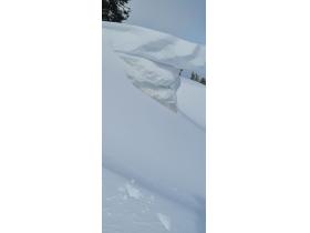 photo coins arrondis