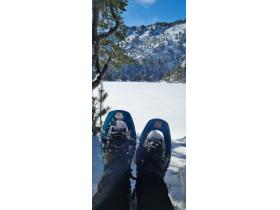 photo coins arrondis