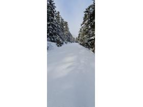 photo coins arrondis