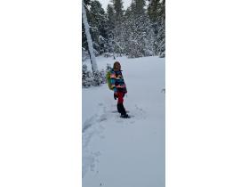 photo coins arrondis