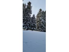 photo coins arrondis