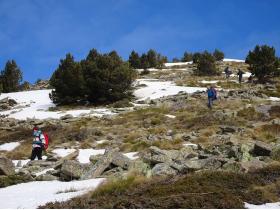 photo coins arrondis