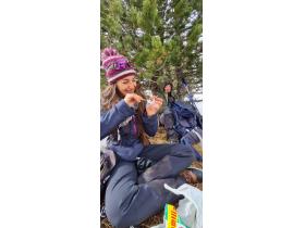 photo coins arrondis