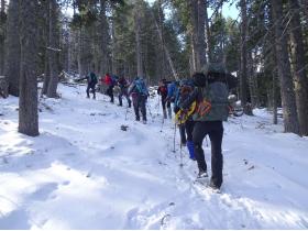 photo coins arrondis