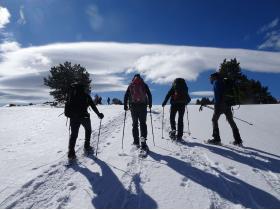 photo coins arrondis