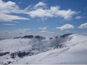 photo coins arrondis