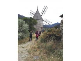 photo coins arrondis