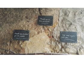 photo coins arrondis