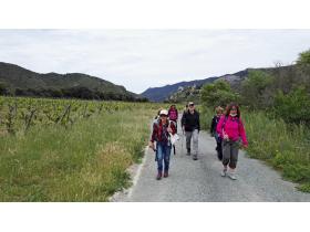 photo coins arrondis