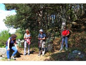 photo coins arrondis