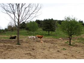 photo coins arrondis