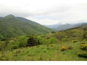 photo coins arrondis