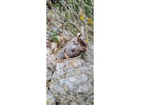 photo coins arrondis