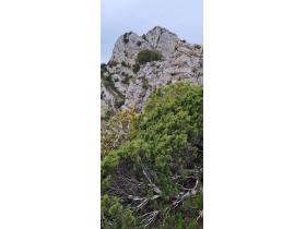 photo coins arrondis