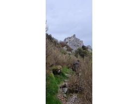 photo coins arrondis