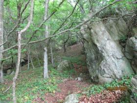 photo coins arrondis