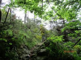 photo coins arrondis