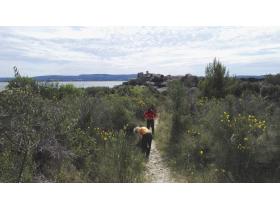 photo coins arrondis