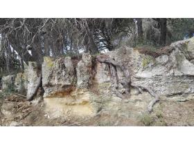 photo coins arrondis