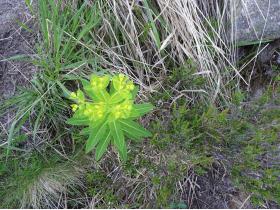 photo coins arrondis