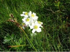 photo coins arrondis