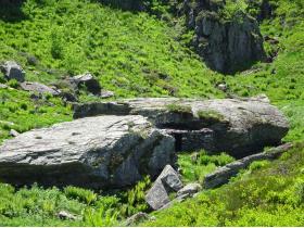 photo coins arrondis