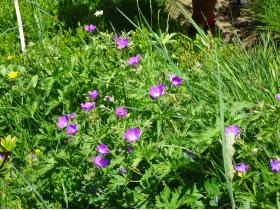 photo coins arrondis