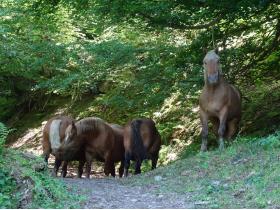 photo coins arrondis