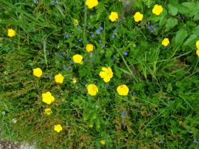 photo coins arrondis