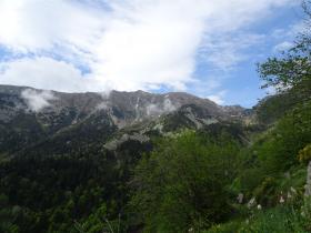 photo coins arrondis