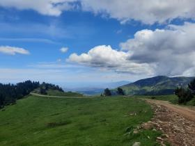 photo coins arrondis