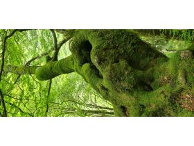 photo coins arrondis