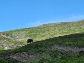 photo coins arrondis