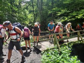 photo coins arrondis