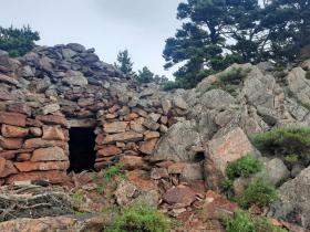 photo coins arrondis