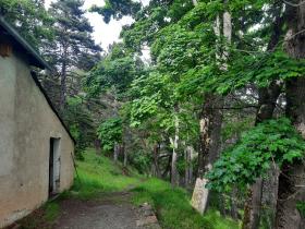 photo coins arrondis