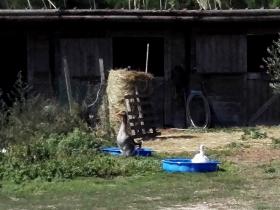 photo coins arrondis