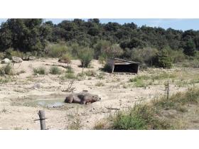 photo coins arrondis