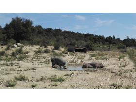 photo coins arrondis