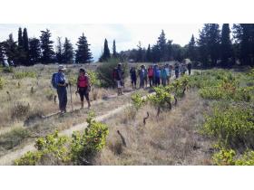 photo coins arrondis