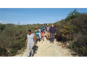 photo coins arrondis