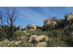 photo coins arrondis