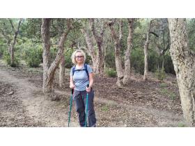 photo coins arrondis