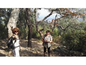 photo coins arrondis