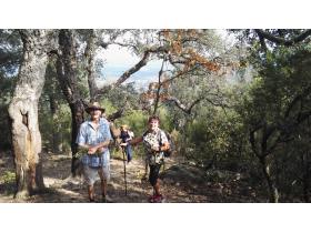 photo coins arrondis