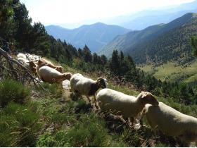 photo coins arrondis