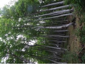 photo coins arrondis