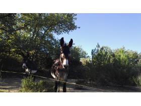 photo coins arrondis