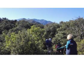 photo coins arrondis