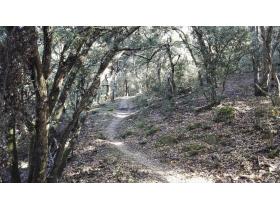 photo coins arrondis